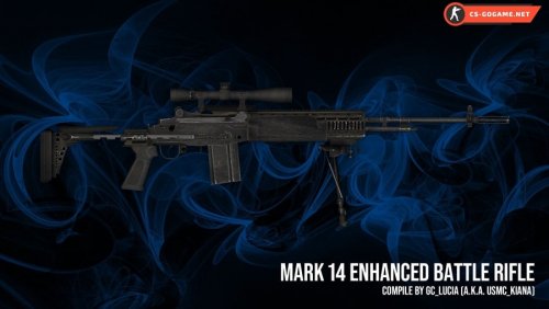 Скачать модель SG 550 M14 Enhanced Battle Rifle для CS 1.6